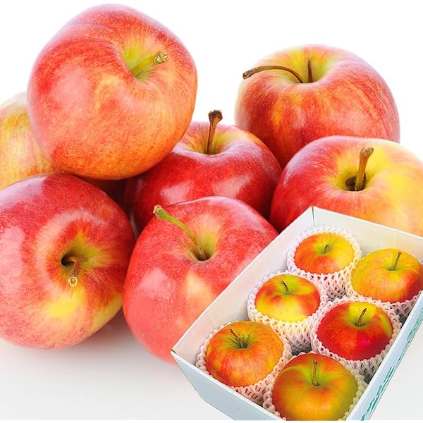 赤いリンゴ（緑の葉付き） 赤いリンゴ（緑の葉付き） ZX-6Rがカラー変更とスマホアプリ機能